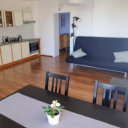 Merhautova Apartment Brno