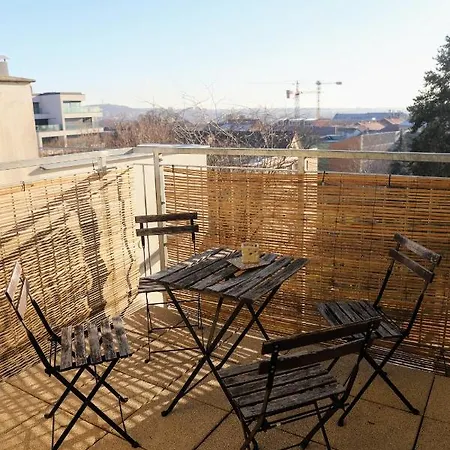 Merhautova Apartment Brno