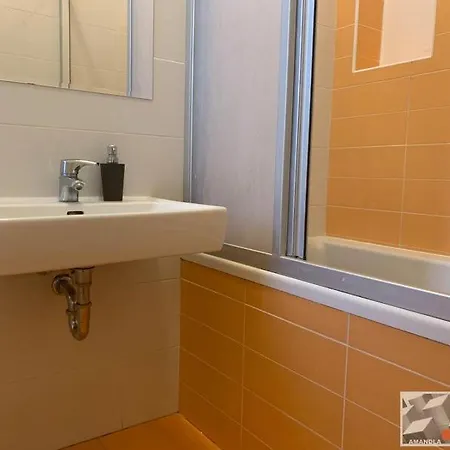 Merhautova Apartment Brno