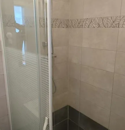 Apartment Merhautova *